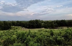 David Conway Rd, Romance, AR 72136