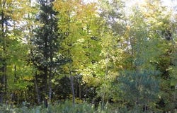 71 Overlook Lane, Westmore, VT 05860