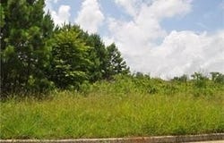 298 Randall Drive, Rockmart, GA 30153