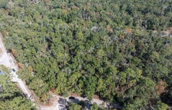 CR 349, OBrien, FL 32071
