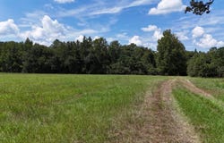 286 Shrike Road, St. Matthews, SC 29135