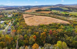 MILL CREEK Lane, MOUNT JACKSON, VA 22842