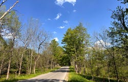 1.9 Curtiss Rd, Camden NY, NY 13316