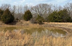Highway M, Cabool, MO 65689