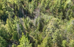 Honor Highway, Interlochen, MI 49643