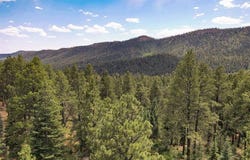 450 Rosalie Drive, Durango, CO 81301