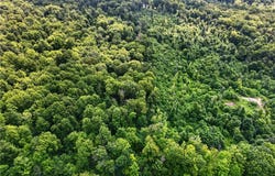 Keefus Road, Conneaut, OH 44030