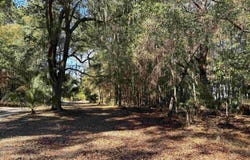 8384 Palmetto Road, Edisto Island, SC 29438