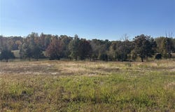 286 Old Wagon Trail, Jackson, MO 63755