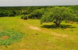 FM 1174, Bertram, TX 78605