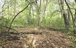 Parcel Tbd 250th Street, Mahnomen, MN 56557