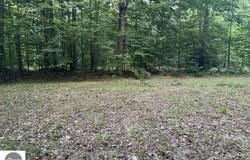 V/L Phelps Road, Lake City, MI 49651