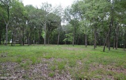Burrow Lane, Milan, TN 38358
