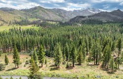 17 Raymond View Road, Markleeville, CA 96120