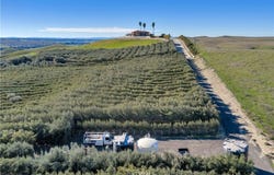 1990 E 46, Shandon, CA 93461