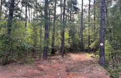 194 CR 415, Bronson, TX 75930