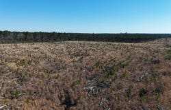 kansas, Gurdon, AR 71743
