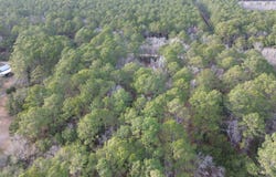 0 Two Pines Rd, Mcclellanville, SC 29458