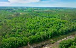 Sand Plant Rd., Nichols, SC 29581