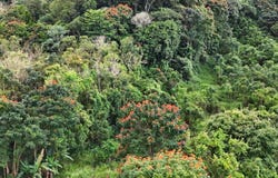 ManatÃ, ManatÃ, PR 00612