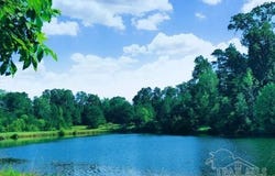 Hwy 17, Millry, AL 36558