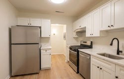 19419 BRASSIE Place, MONTGOMERY VILLAGE, MD 20886