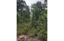 Gabe Rd, Saluda, SC 29138