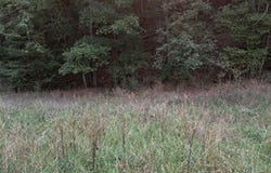 2704 Churn Creek Road lot: 0, Blue Creek, OH 45616