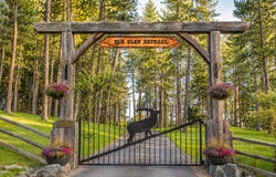 13518 Sylvan Drive, Bigfork, MT 59911
