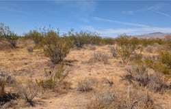 80th Street W, Rosamond, CA 93501