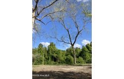 316 Bayview Road, Bath, NC 27808