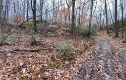 Bow Lane, Middletown, CT 06457