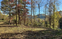 Zoellner Lane, Dillard, GA 30537