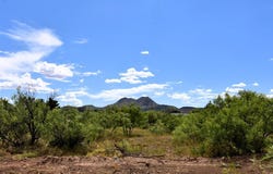 411 Sagebrush Road, Alpine, TX 79830