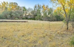 19861 Barnes Cir, CO 80751