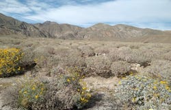 Marble Dr, White Water, CA 92282