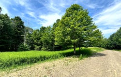 1.12 Wart Rd., Orwell, NY 13426
