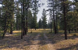 6030 West Fork Road, Darby, MT 59829