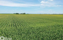 1400th Road, Brocton, IL 61917