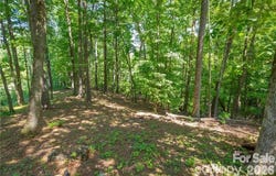 8520 Indian Trace, Nebo, NC 28761