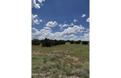 Eucalyptus Lane, Concho Valley, AZ 85924