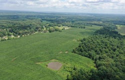 Old Union Road, PARIS, TN 38242