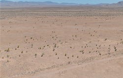18021 N Eldon Rd, Dolan Springs, AZ 86441