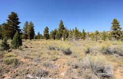 W Doe Rd, Mammoth Creek, UT 84735