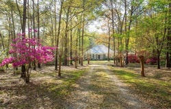 171 Tanglewood Trl, Georgetown, GA 39854
