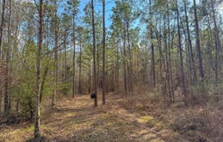 TBD County Rd 328, DeBerry, TX 75639