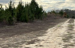 Hwy 80, Tyler, AL 36785