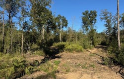 Emma Kelly Road, Magnolia, MS 39652