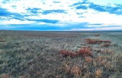 56th Ave, Deer Trail, CO 80105