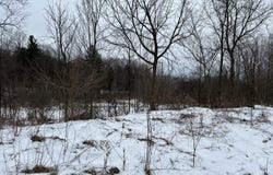 01275 47 1/2 Street, Grand Junction, MI 49056